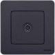 Inspiria Антрацит Розетка телевизионная TV оконечная С/У 10 дБ 5-862 мГц без рамки  673873  Legrand