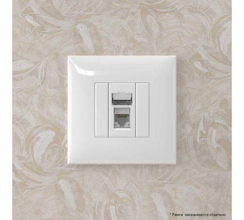 Компьютерная розетка RJ-45 в стену, кат.6А одинарная, "Avanti", "Белое облако"  4400373  DKC
