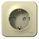 Blanca Бежевый О/У с изолирующей пластиной Розетка с з/к со шт. 16А, 250В  BLNRA011117  SE