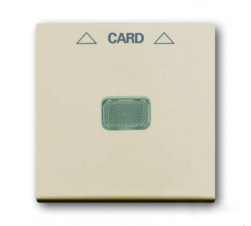 ABB Basic 55 Сл. кость Накладка карточного выключателя(мех. 2025U)  1710-0-3865   2CKA001710A3865  ABB