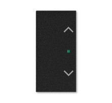 ABB Levit Антрацит Клавиша 2-ая с символом жалюзи free@home  6220H-A02002 63  2CHH622002A4063  ABB