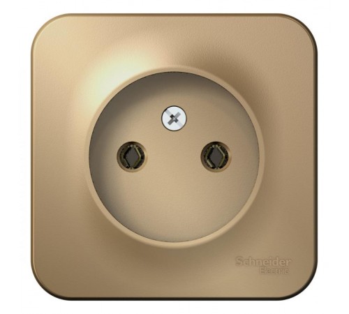 Blanca Титан О/У Розетка без заземления без шторок, 16А, 250В  BLNRA000104  SE