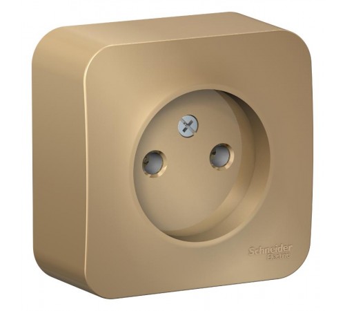 Blanca Титан О/У Розетка без заземления без шторок, 16А, 250В  BLNRA000104  SE