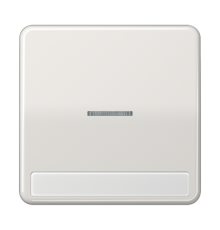 Клавиша с окошком для выключателя с подсветкой и полем для надписи; светло-серая  CD590NAKO5LG  Jung