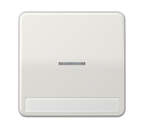 Клавиша с окошком для выключателя с подсветкой и полем для надписи; светло-серая  CD590NAKO5LG  Jung