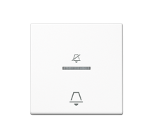 Клавиша на гостиничный выключатель, корридорный модуль ACUKO5DWW Jung