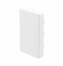 LAN 25x30 Заглушка(розница, 2 шт в пакете)  00867R  DKC