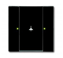 6125/02-81-500 Сенсор 1/2-кл. многофункциональный, антарцит  6115-0-0216  2CKA006115A0216  ABB