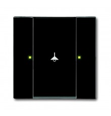 6125/02-81-500 Сенсор 1/2-кл. многофункциональный, антарцит  6115-0-0216  2CKA006115A0216  ABB