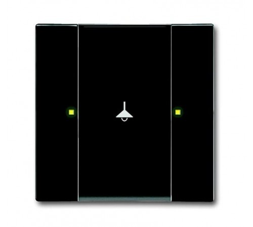 6125/02-81-500 Сенсор 1/2-кл. многофункциональный, антарцит  6115-0-0216  2CKA006115A0216  ABB