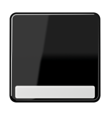 Клавиша для выключателя с полем для надписи; черная  CD590NASW  Jung