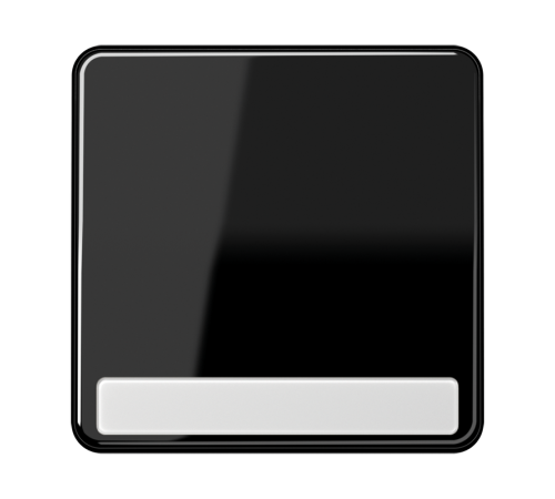 Клавиша для выключателя с полем для надписи; черная  CD590NASW  Jung