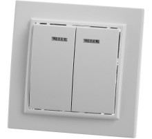 PSW10-9002-01 Выключатель 2-клавишный с индикатором, 250В, 10А, серия Эрна, белый  39042  STEKKER