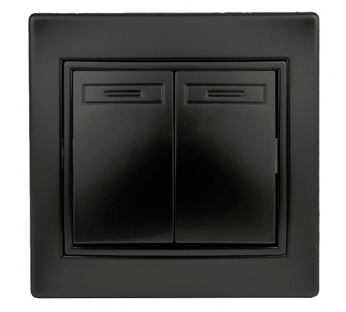 Переключатель  Plano 1-107-05 двухклавишный, 10А-250В, IP20, СУ, антрацит   Б0053810  Intro