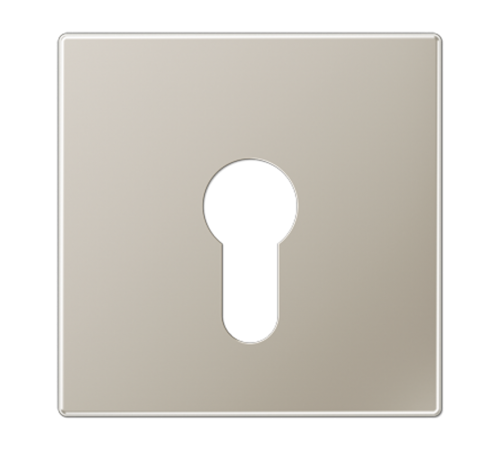 Крышка к выключателю для замочного механизма; благородная сталь  ES2925  Jung