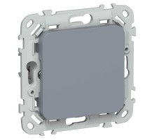 FLITE Заглушка с суппортом ЗГ-ФлМ маренго  FI-PL10-K35  IEK