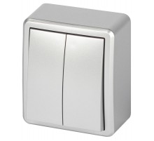 Выключатель ЭРА Эксперт 11-1204-03 двойной 10АХ-250В IP20 ОУ Алюминий  Б0063035  ЭРА