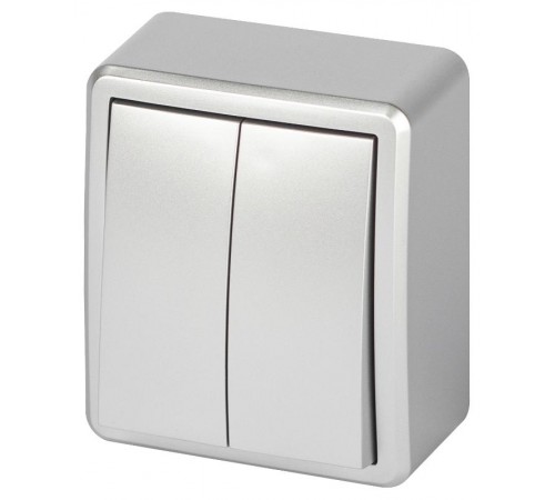 Выключатель Эксперт 11-1205-03 двойной с подсветкой IP20 10АХ-250В ОУ Алюминий  Б0063001  ЭРА