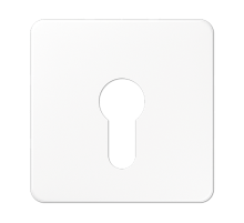 центральная плата для вставки с ключом CD525WW Jung