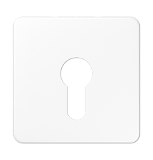 центральная плата для вставки с ключом CD525WW Jung