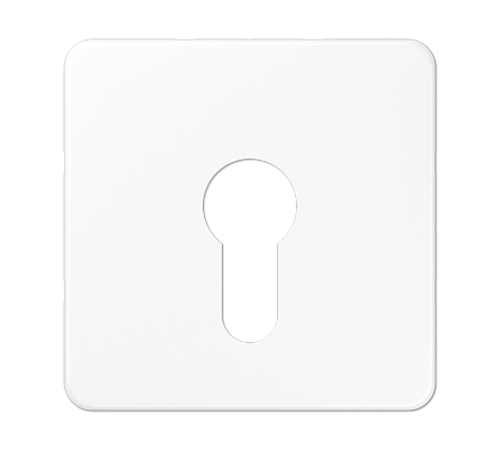 центральная плата для вставки с ключом CD525WW Jung