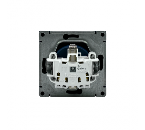 ArtGallery Аквамарин Розетка с заземлением со шторками, 16А, механизм, быстрозажим. клем.  GAL001145S  SE