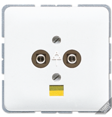 Штепсельная розетка для выравнивания потенциалов  565-2  Jung
