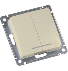 ВС10-452-01 Выключатель скрытой установки, двухклавишный, с индикацией, механизм, цвет слоновая кость  ВС10-452-01  HEGEL