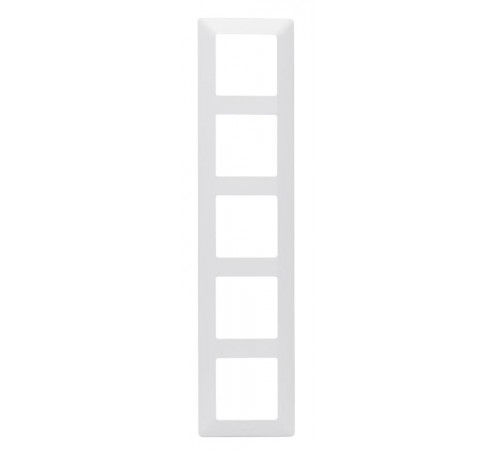 Valena LIFE Белая Рамка 5-ая  754005  Legrand