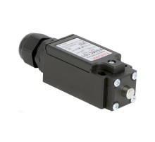 Концевой выключатель с двумя контактами, нормально открытый + нормально закрытый (NO+NC). Исполнение с кнопкой.  R5MC101  DKC