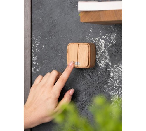 Выключатель 2-клавишный ОП Минск 10А с индикатором светлое дерево EKF  EGV10-123-30  EKF