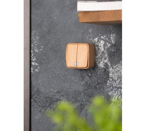 Выключатель 2-клавишный ОП Минск 10А с индикатором светлое дерево EKF  EGV10-123-30  EKF