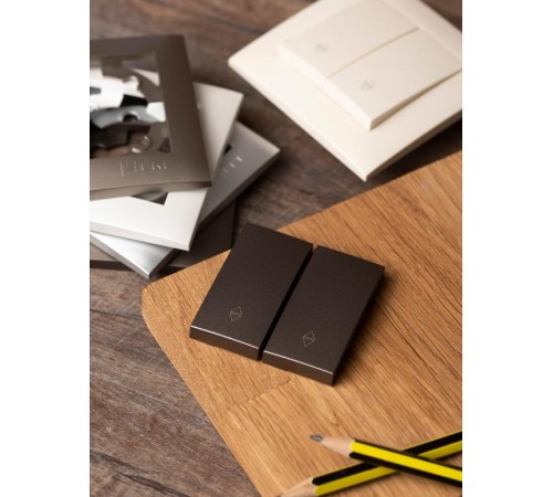 Валенсия лицевая панель выключателя 2-кл. проходного 10А графит EKF PROxima   ESV10-L-027-60   EKF