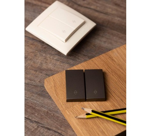 Валенсия лицевая панель выключателя 2-кл. проходного 10А графит EKF PROxima   ESV10-L-027-60   EKF