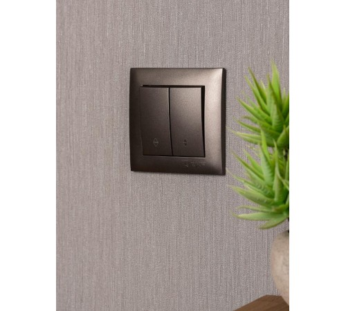 Валенсия лицевая панель выключателя 2-кл. проходного 10А графит EKF PROxima   ESV10-L-027-60   EKF