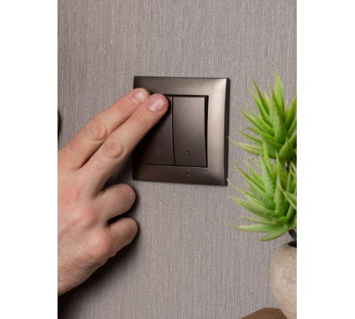 Валенсия лицевая панель выключателя 2-кл. проходного 10А графит EKF PROxima   ESV10-L-027-60   EKF