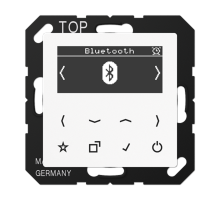 Цифровое радио DAB + с поддержкой Bluetooth DABABTWW Jung