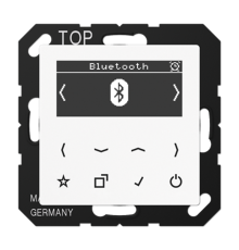 Цифровое радио DAB + с поддержкой Bluetooth DABABTWW Jung