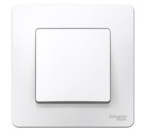 Blanca Белый С/У Выключатель 1-клавишный, 6А, 250B  BLNVS006101  SE