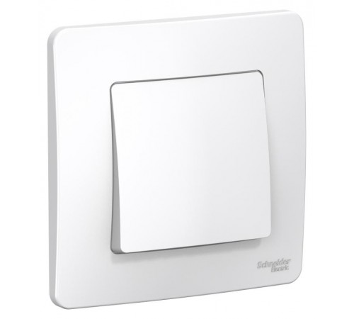Blanca Белый С/У Выключатель 1-клавишный, 6А, 250B  BLNVS006101  SE