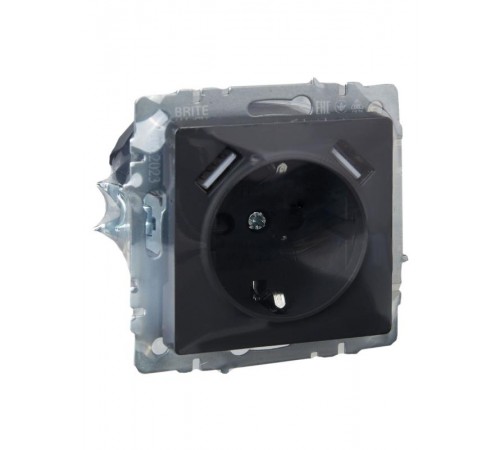 BRITE Розетка с заземлением со шторками 16А с USB A+A 3,1А РЮш10-2-БрГ графит  BR-R14-16-U21-D31-K53  IEK