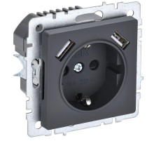 BRITE Розетка с заземлением со шторками 16А с USB A+A 3,1А РЮш10-2-БрГ графит  BR-R14-16-U21-D31-K53  IEK