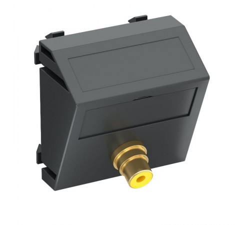 Мультимедийная рамка Video-Cinch Modul45 (черный) (MTS-R L SWGR1)  6104985  OBO Bettermann