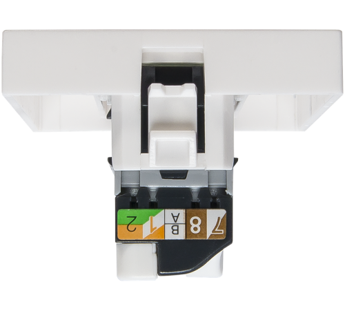 Розетка информационная UTP 1хRJ45 45х45 cat5е  200007  SPL