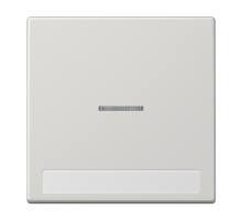 Клавиша для  выключателя с подсветкой и полем для надписи; светло-серая  LS990NAKO5LG  Jung