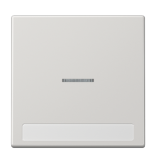 Клавиша для  выключателя с подсветкой и полем для надписи; светло-серая  LS990NAKO5LG  Jung