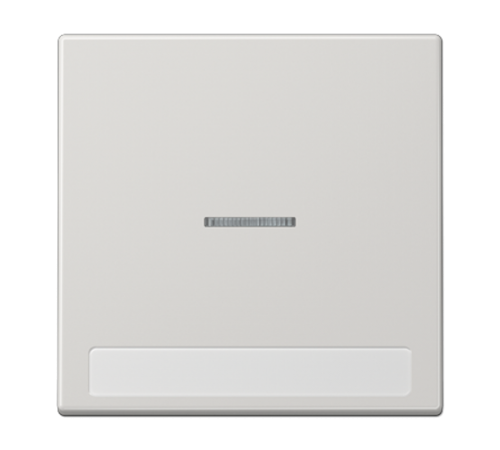 Клавиша для  выключателя с подсветкой и полем для надписи; светло-серая  LS990NAKO5LG  Jung