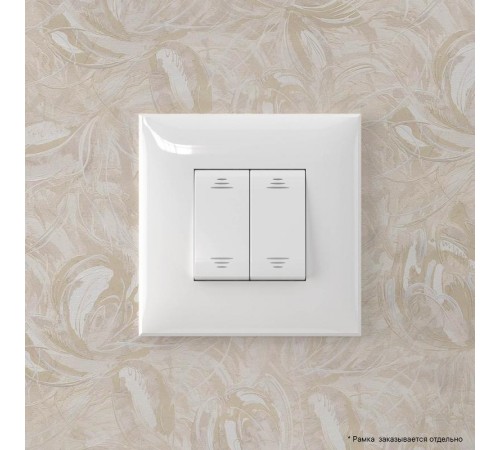 Инвертор двухклавишный в стену, "Avanti", "Белое облако"  4400124  DKC