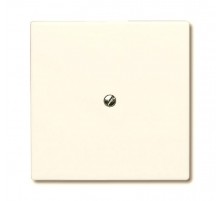 Заглушка с суппортом (IP44), серия Allwetter 44, цвет слоновая кость  1710-0-2264   2CKA001710A2264  ABB