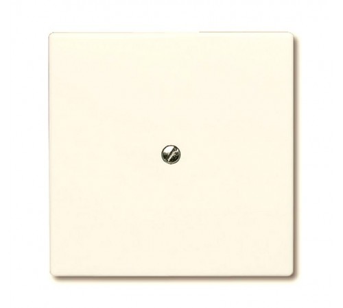 Заглушка с суппортом (IP44), серия Allwetter 44, цвет слоновая кость  1710-0-2264   2CKA001710A2264  ABB